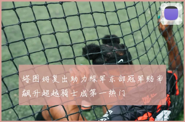 塔图姆复出助力绿军东部冠军赔率飙升超越骑士成第一热门