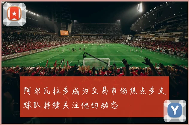 阿尔瓦拉多成为交易市场焦点多支球队持续关注他的动态