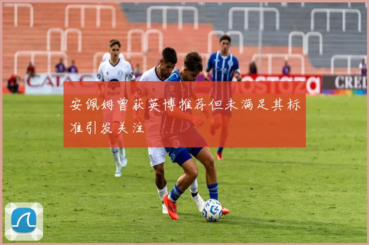 安佩姆曾获英博推荐但未满足其标准引发关注