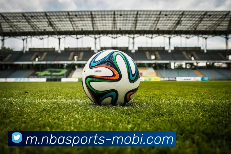 App Interface Preview